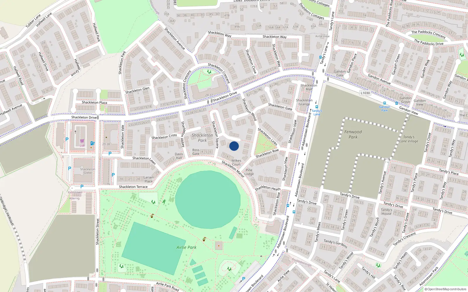 Overhead map showing the location of 4 Shckleton Glade, 4 Shackleton Glade, Lucan