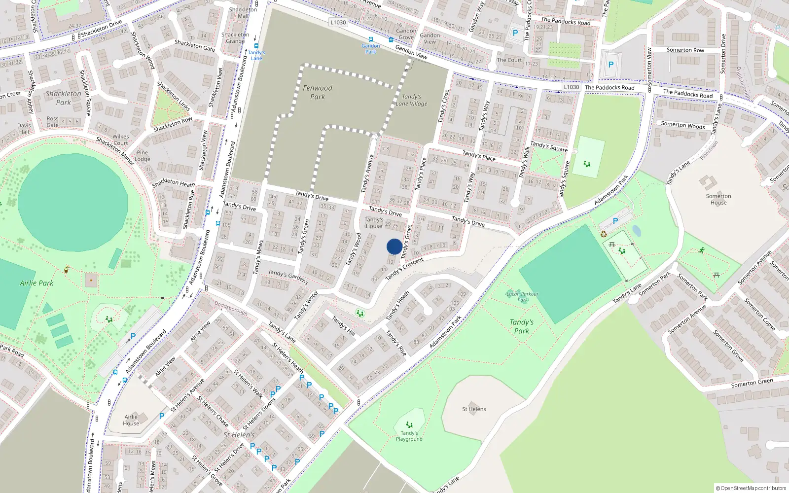 Overhead map showing the location of 4 Tandy's Grove, Lucan