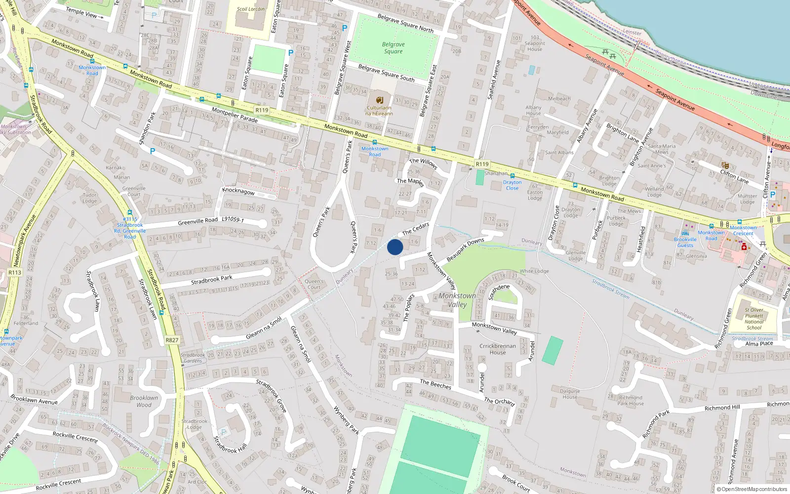 Overhead map showing the location of 4 the Cedars, Monkstown Valley, Monkstown