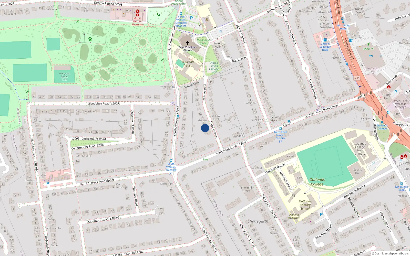 Overhead map showing the location of 4 Trees Avenue, Blackrock