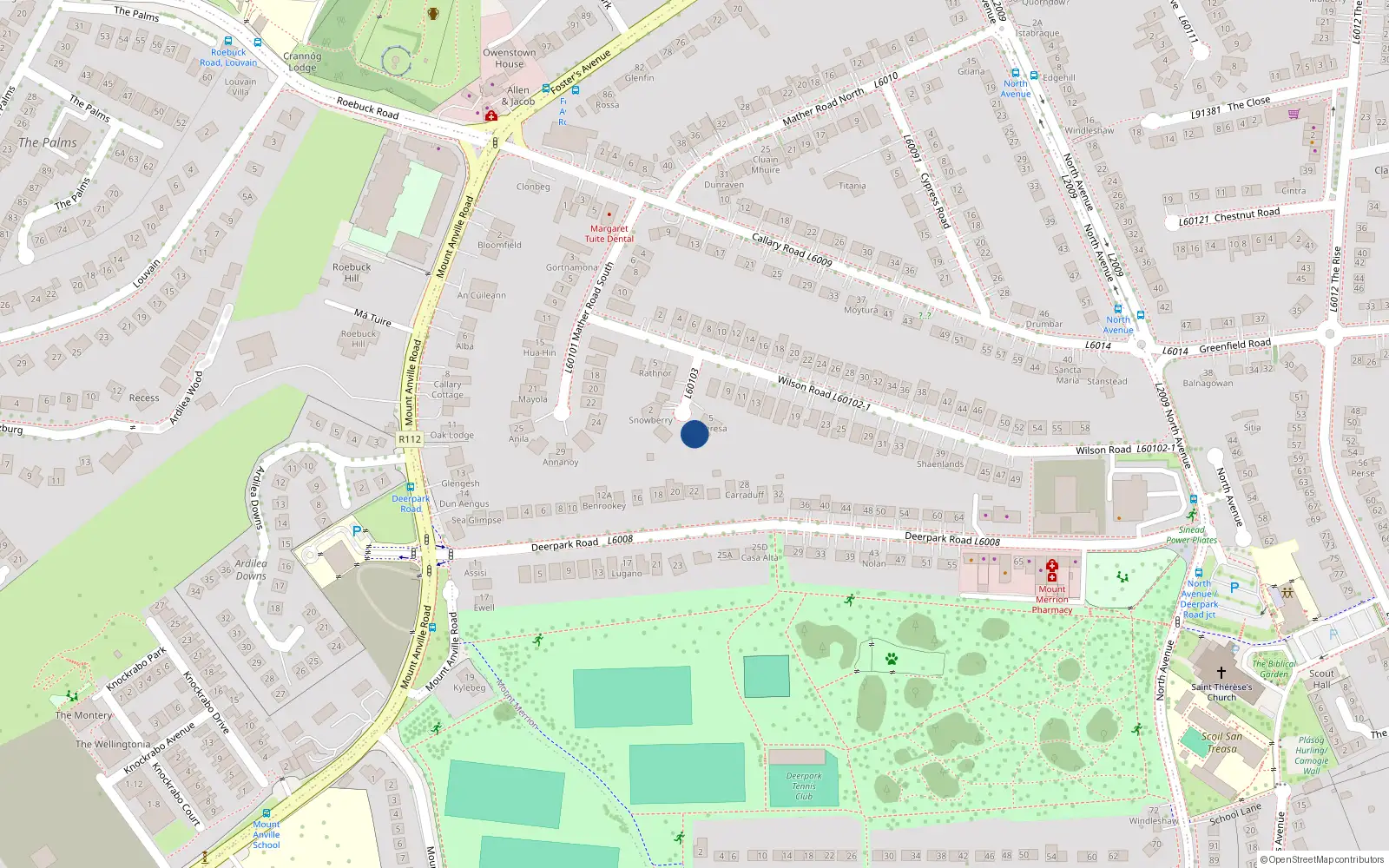 Overhead map showing the location of 4 Wilson Crescent, Mount Merrion, Dublin