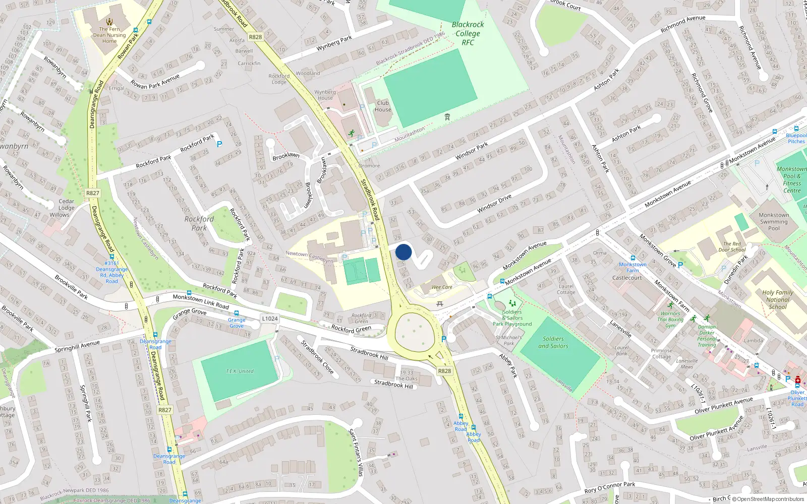 Overhead map showing the location of 4 Windsor Court, Blackrock