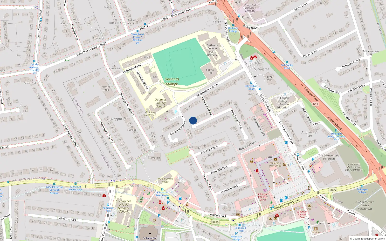 Overhead map showing the location of 4 Woodlands Drive, Stillorgan, Dublin
