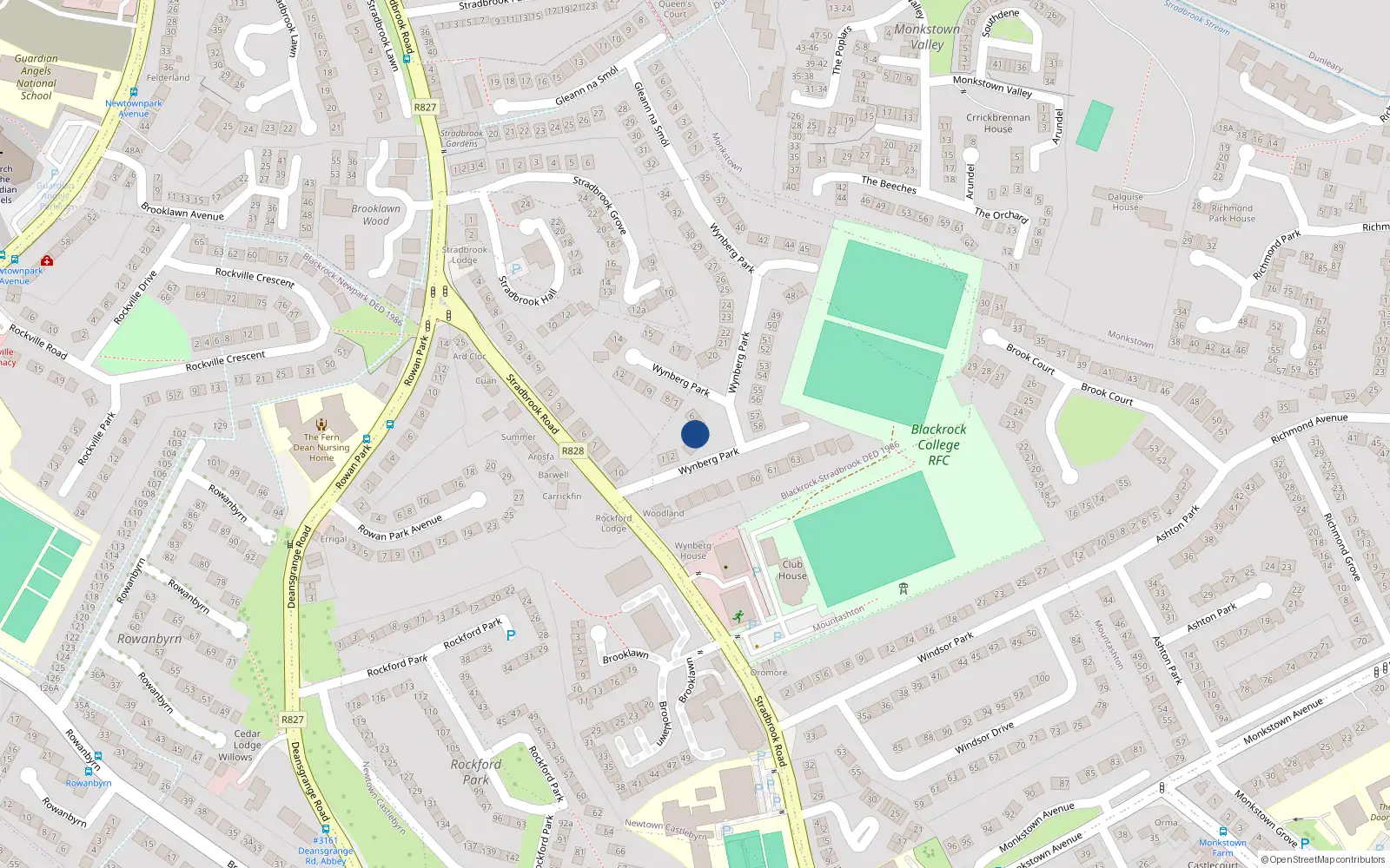 Overhead map showing the location of 4 Wynberg Park, Blackrock
