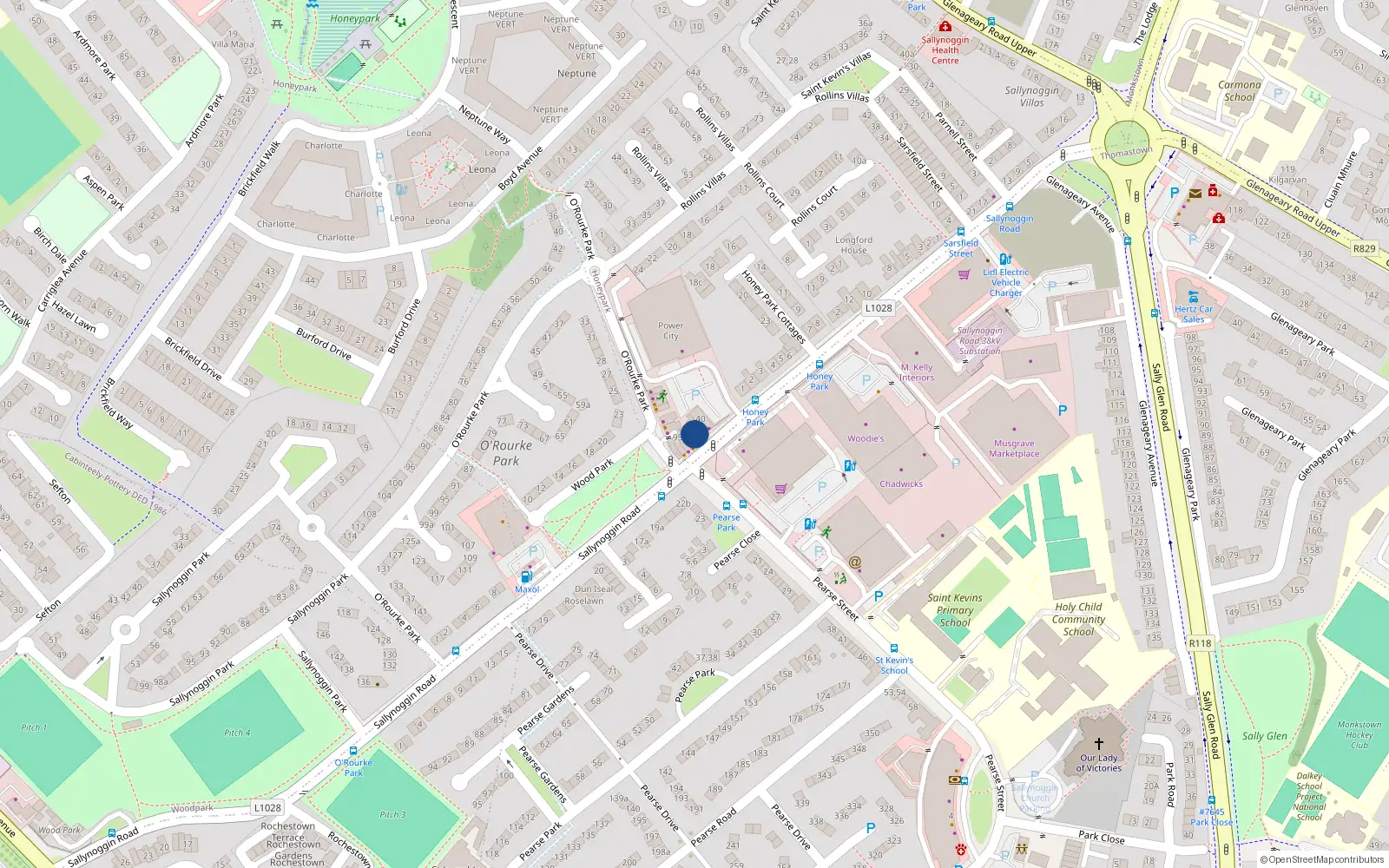 Overhead map showing the location of 41 Sallynoggin Road, Sallynoggin