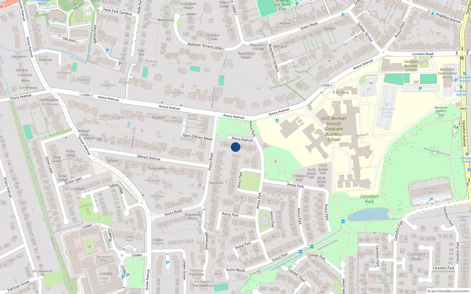 Overhead map showing the location of 40 Avoca Avenue, Blackrock, Co Dublin