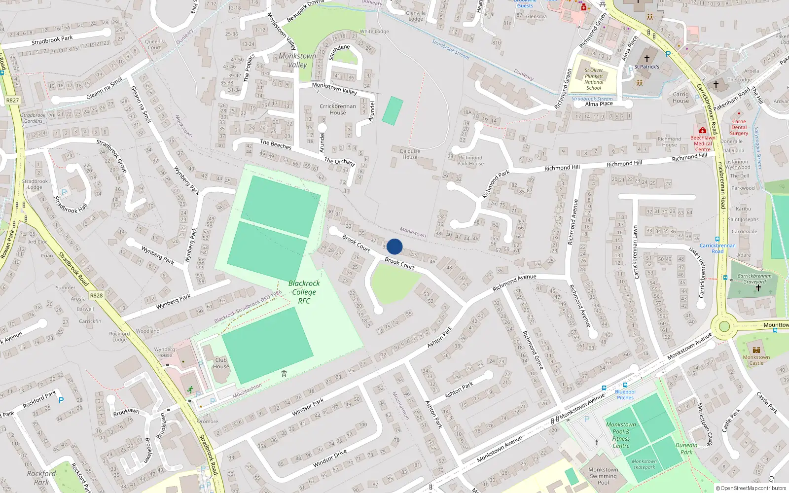 Overhead map showing the location of 40 Brook Court, Monkstown