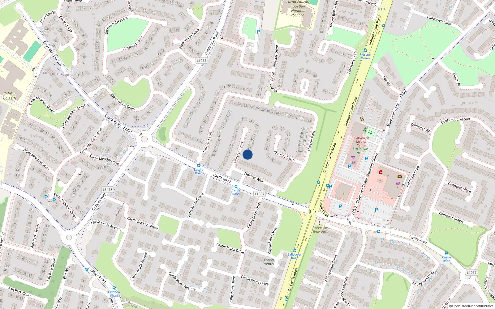 Overhead map showing the location of 40 Forester Square, Ballydowd Manor, Lucan