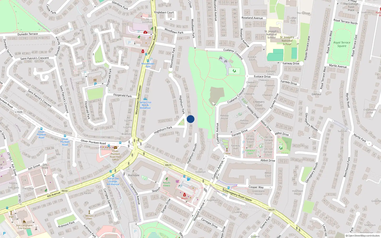 Overhead map showing the location of 40 Highthorn Park, Monkstown