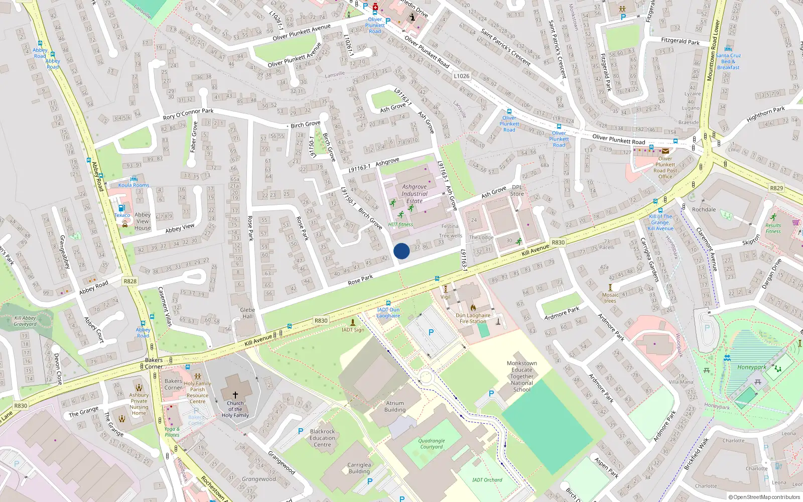 Overhead map showing the location of 40 Kill Avenue, Dublin