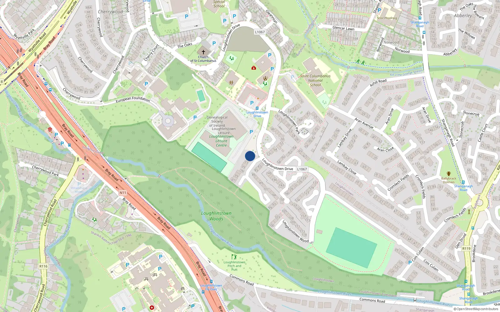 Overhead map showing the location of 40 Loughlinstown Wood, Dublin