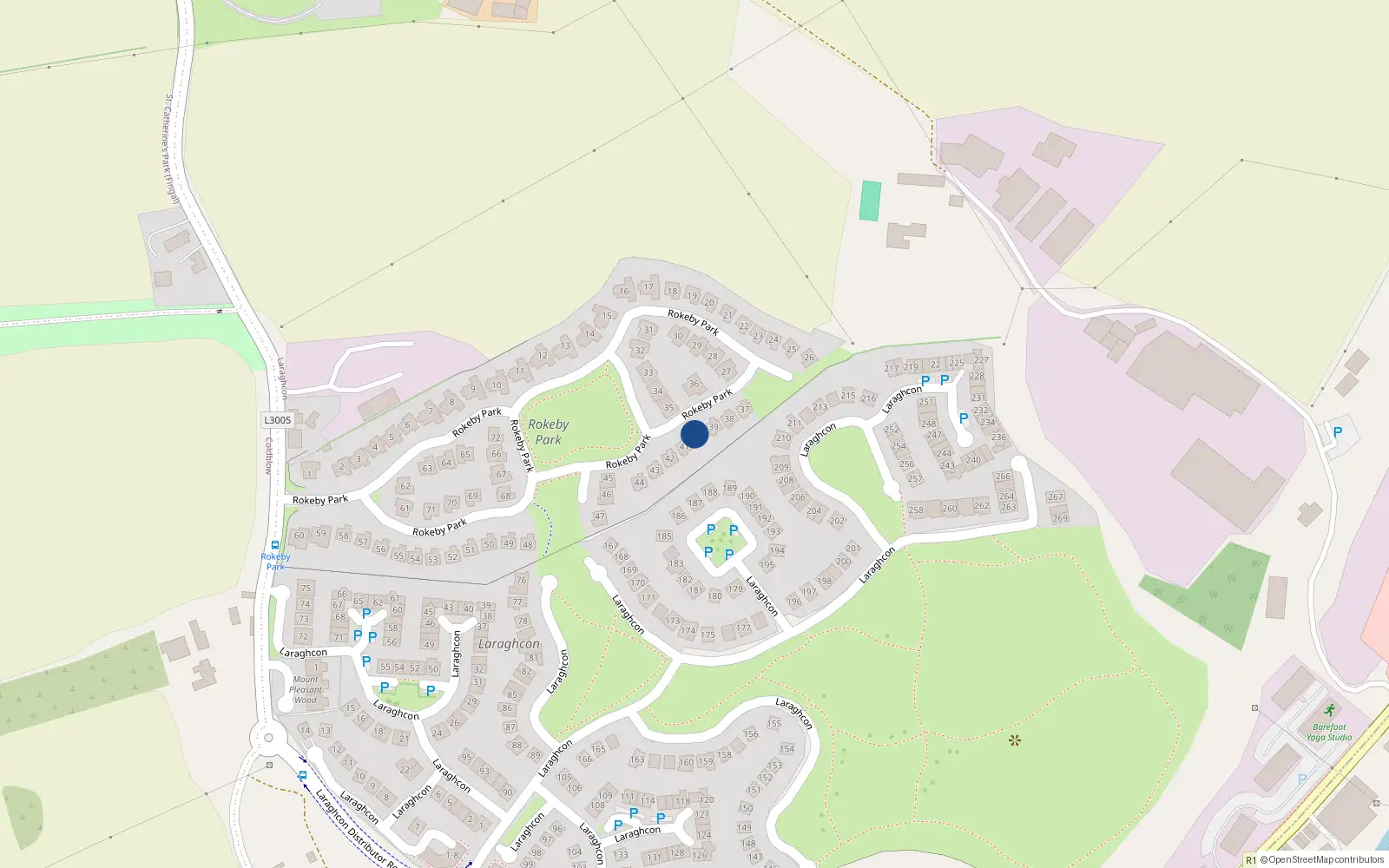 Overhead map showing the location of 40 Rokeby Park, Lucan