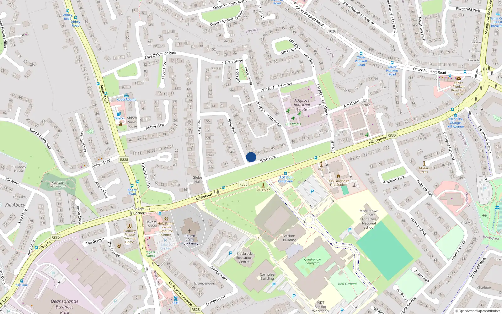 Overhead map showing the location of 40 Rose Park, Kill Avenue, Dun Laoghaire