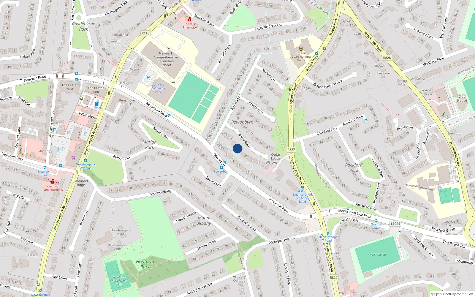 Overhead map showing the location of 40 Rowanbyrn, Blackrock
