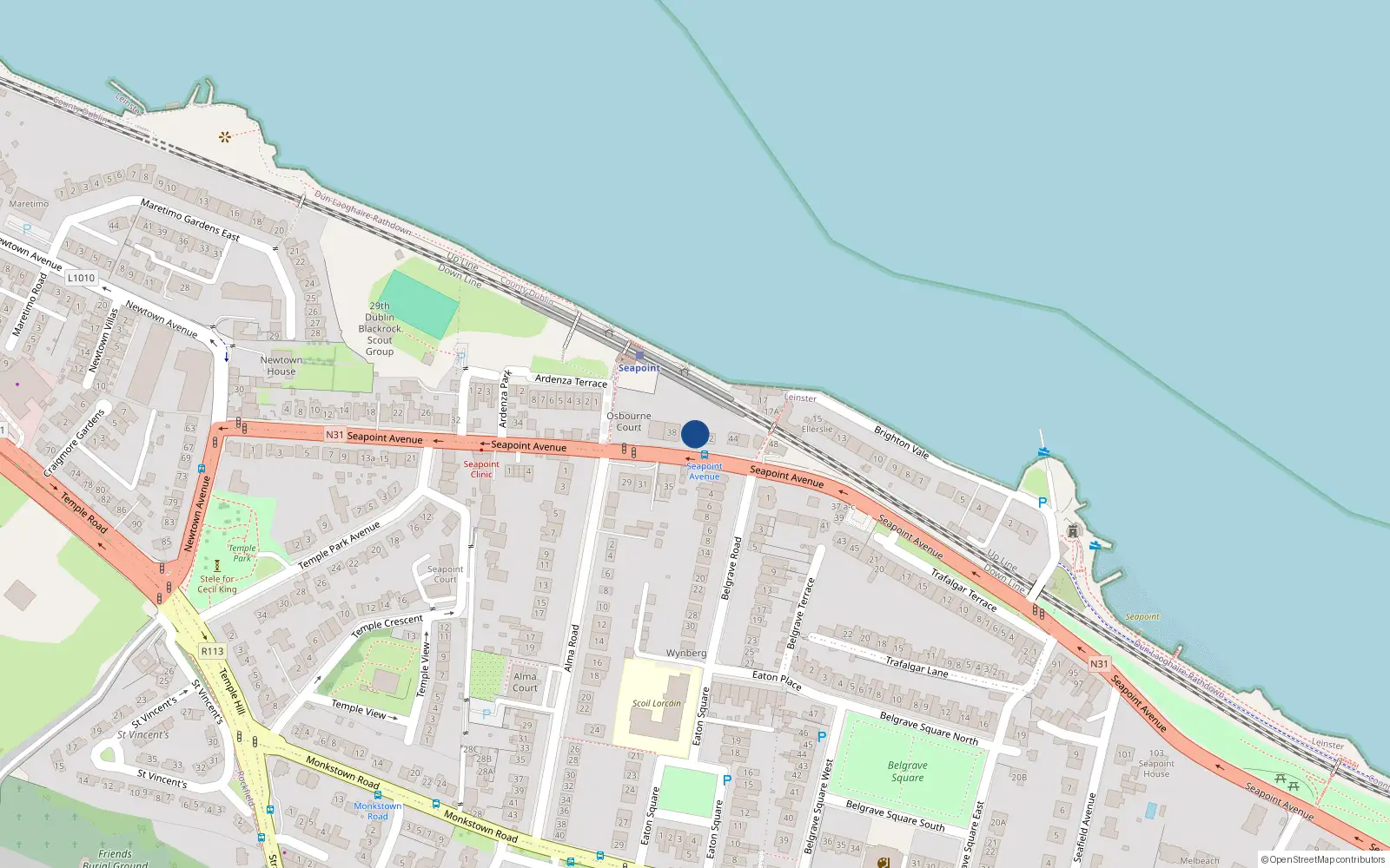 Overhead map showing the location of 40 Seapoint Avenue, Blackrock