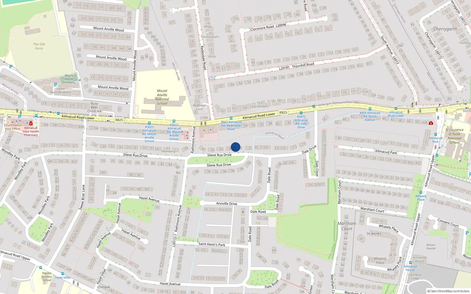 Overhead map showing the location of 40 Slieve Rua Drive, Blackrock