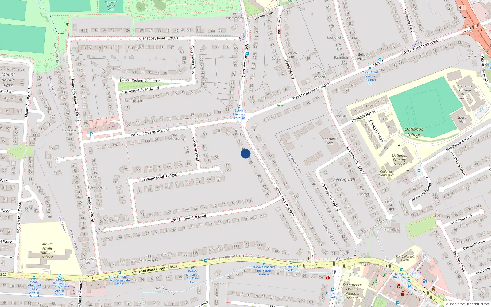 Overhead map showing the location of 40 South Avenue, Mount Merrion, Co Dublin