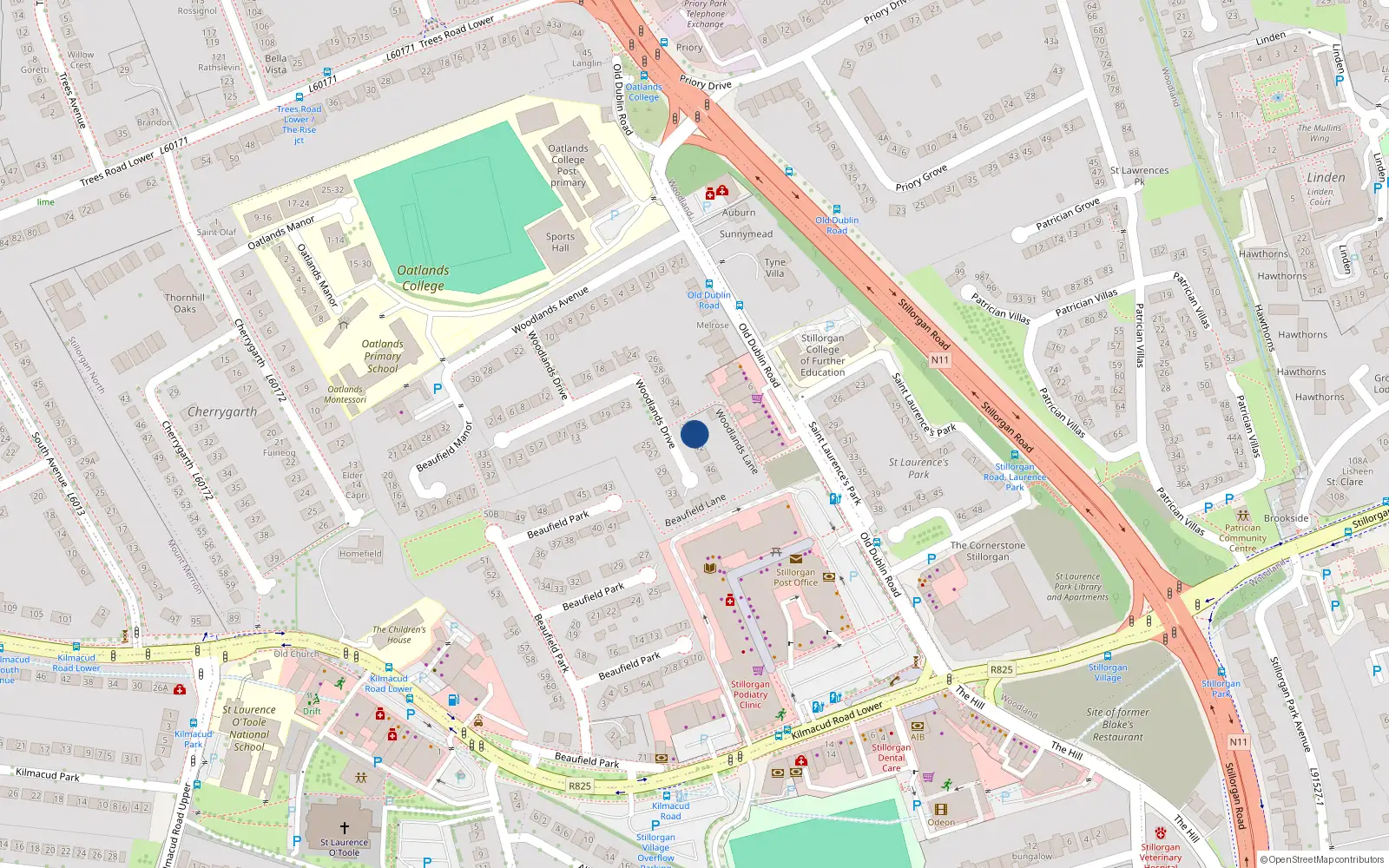 Overhead map showing the location of 40 Woodlands Drive, Dublin