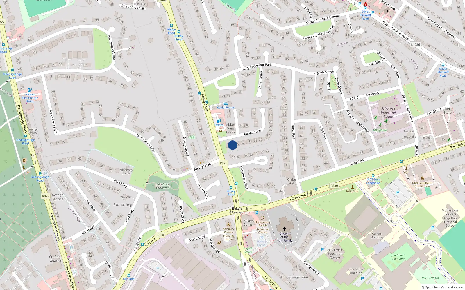 Overhead map showing the location of 41 Abbey View, Monkstown, Dublin