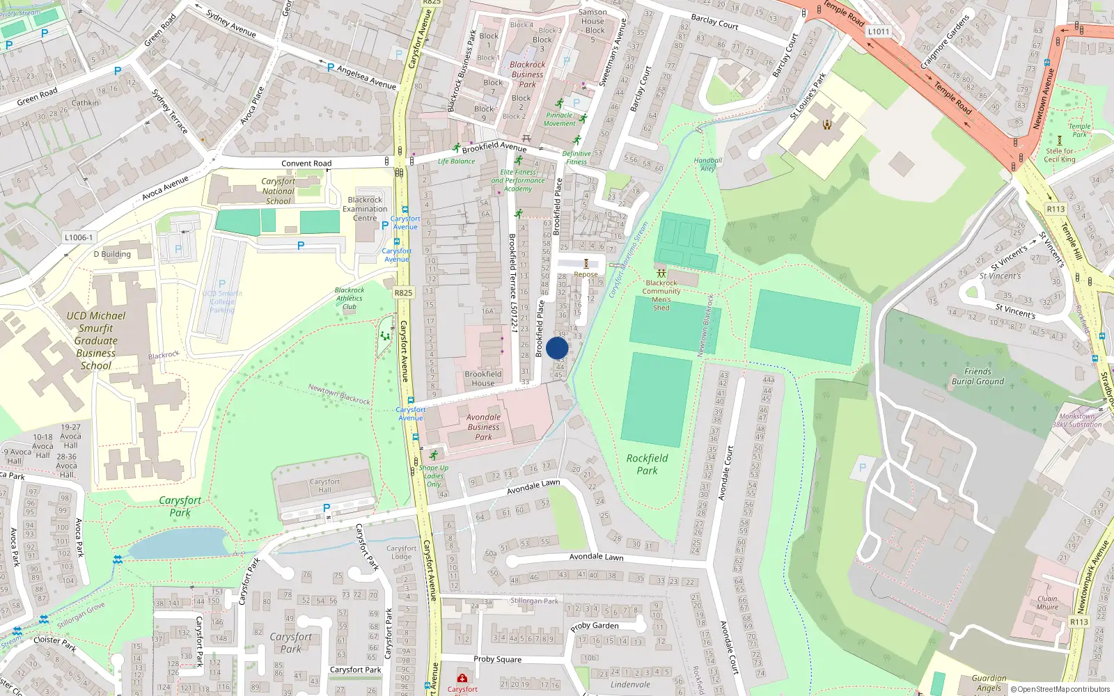 Overhead map showing the location of 41 Brookfield Place, Blackrock, Dublin