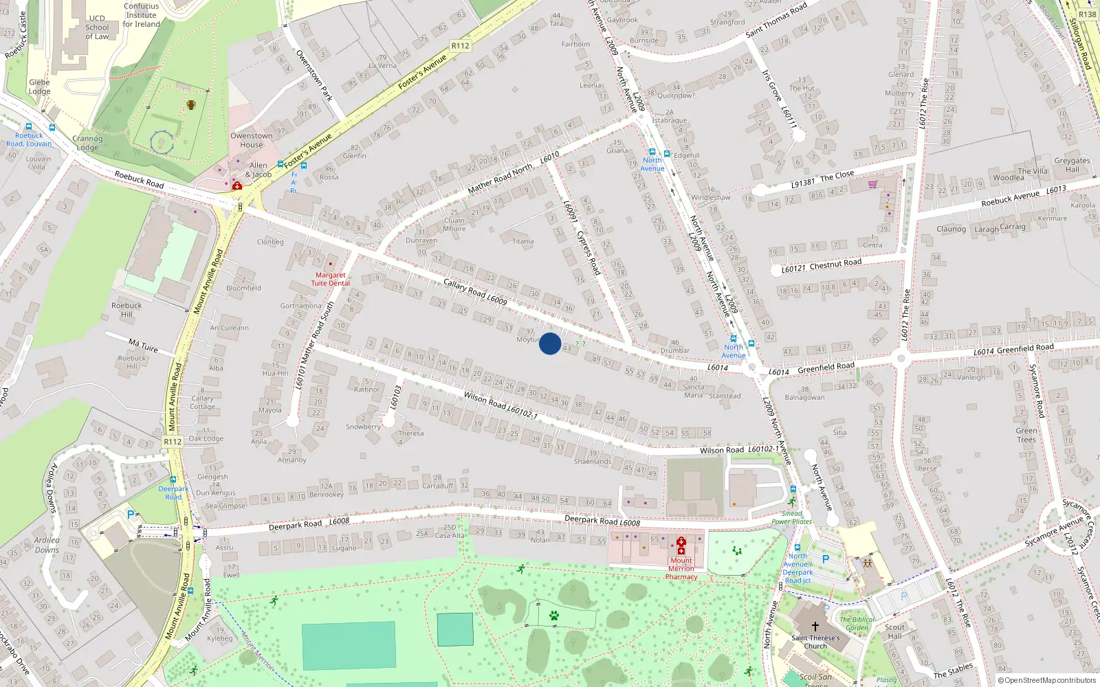 Overhead map showing the location of 41 Callary Road, Blackrock