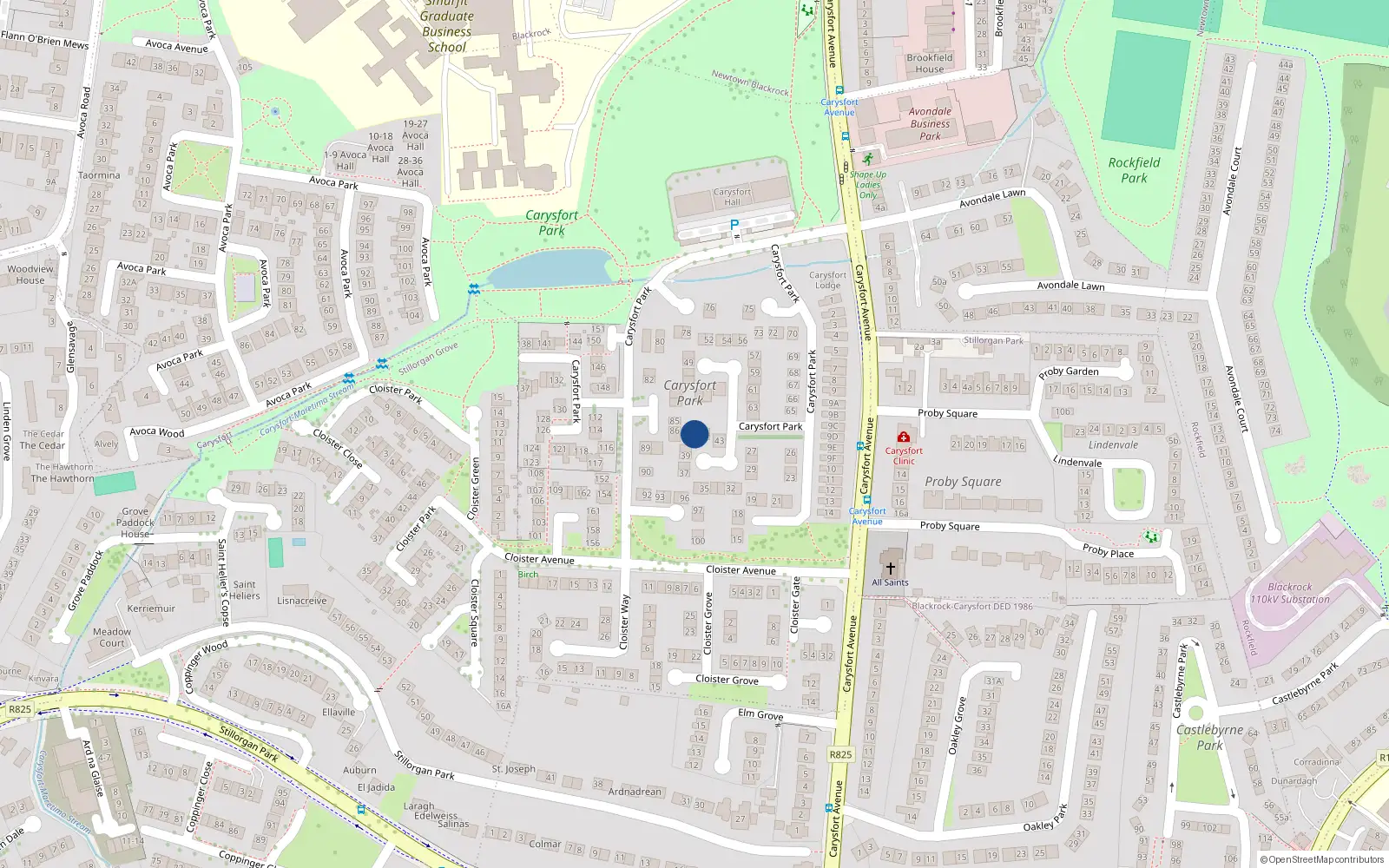 Overhead map showing the location of 41 Carysfort Park, Blackrock, Dublin