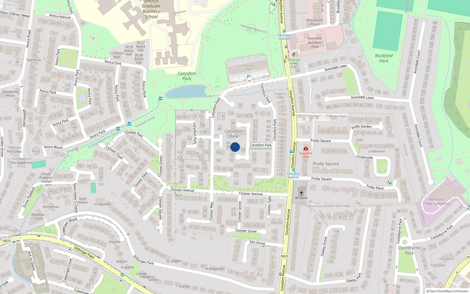 Overhead map showing the location of 41 Carysfort Park, Blackrock