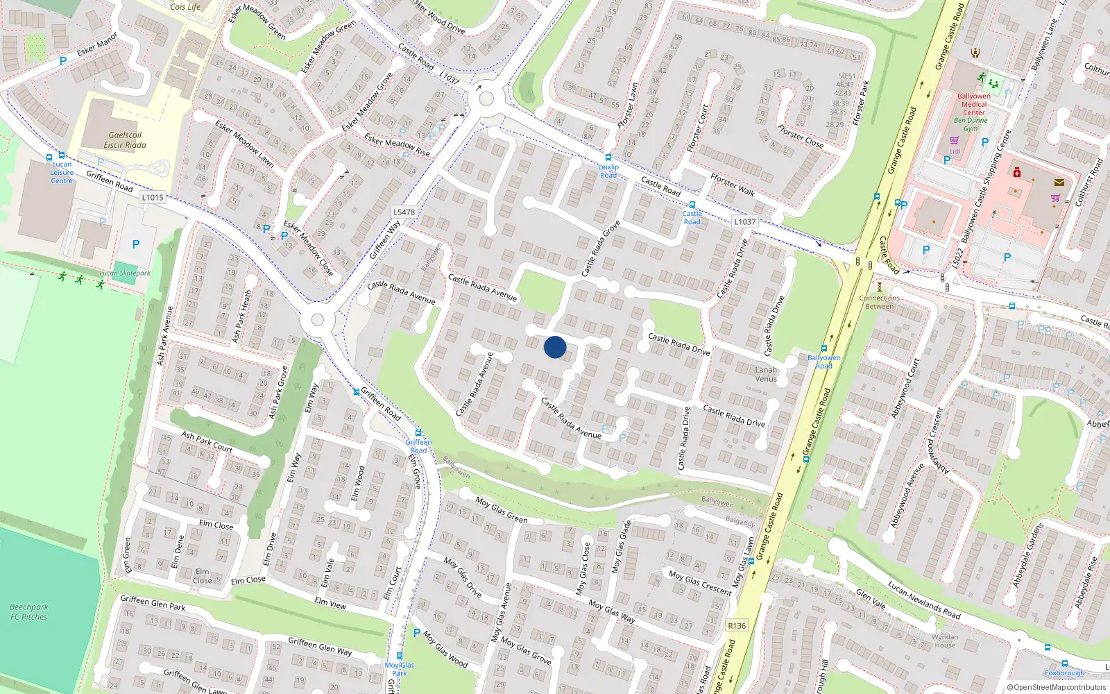 Overhead map showing the location of 41 Castle Riada Grove, Lucan