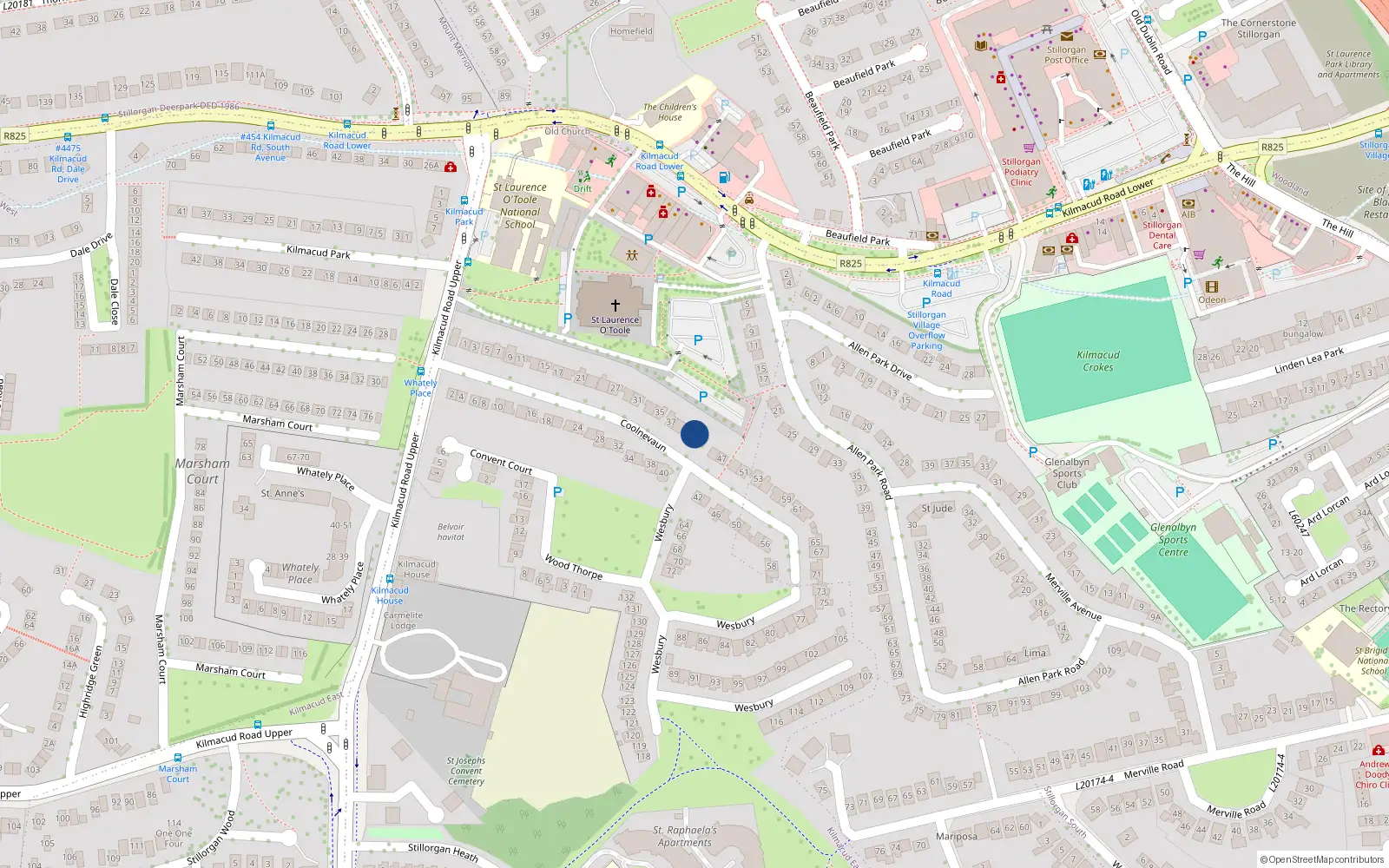 Overhead map showing the location of 41 Coolnevaun, Dublin