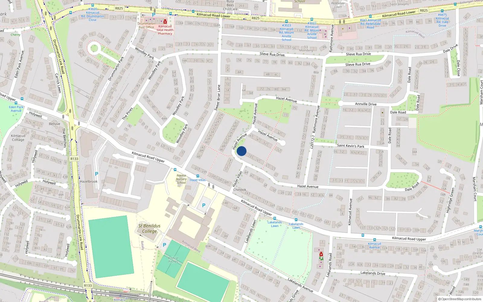 Overhead map showing the location of 41 Hazel Avenue, Blackrock