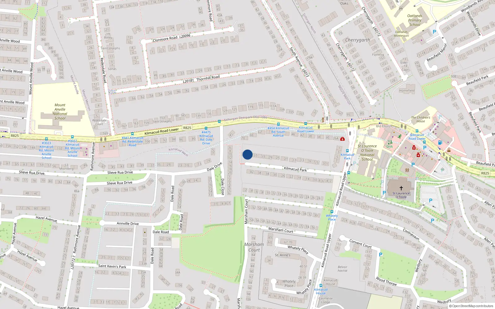 Overhead map showing the location of 41 Kilmacud Park, Blackrock