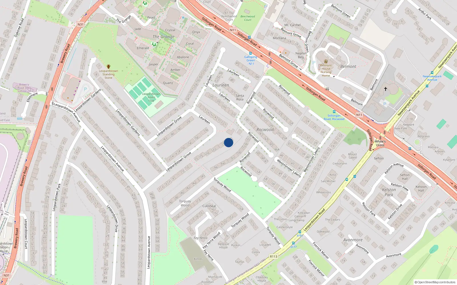 Overhead map showing the location of 41 Leopardstown Grove, Dublin