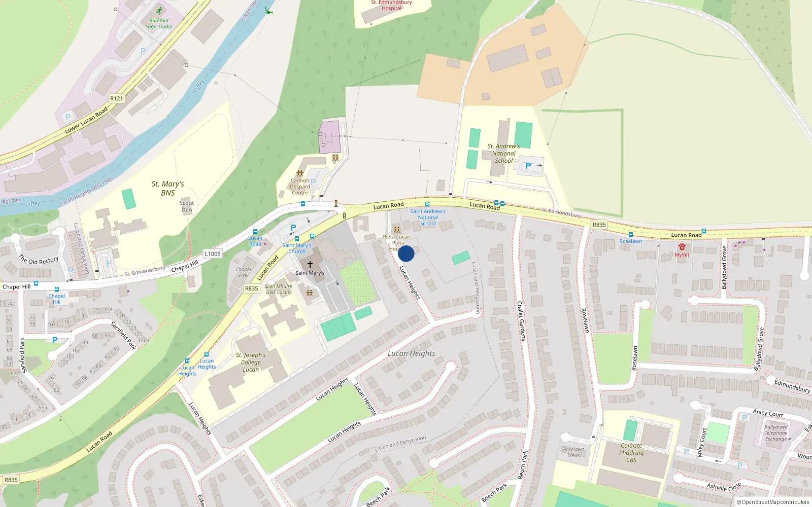 Overhead map showing the location of 41 Lucan Heights, Lucan