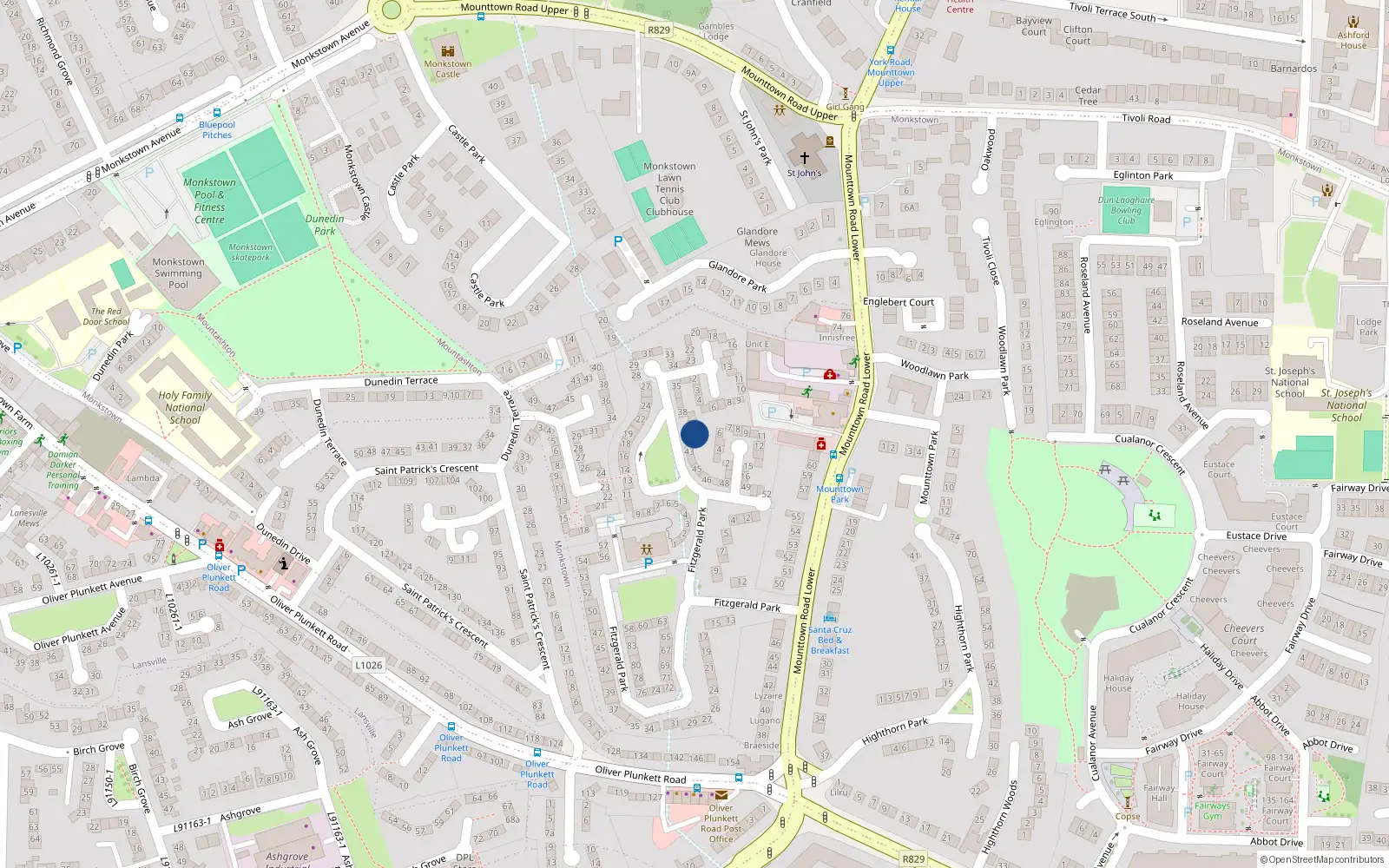 Overhead map showing the location of 41 Meadowlands Avenue, Lower Mounttown Road, Monkstown