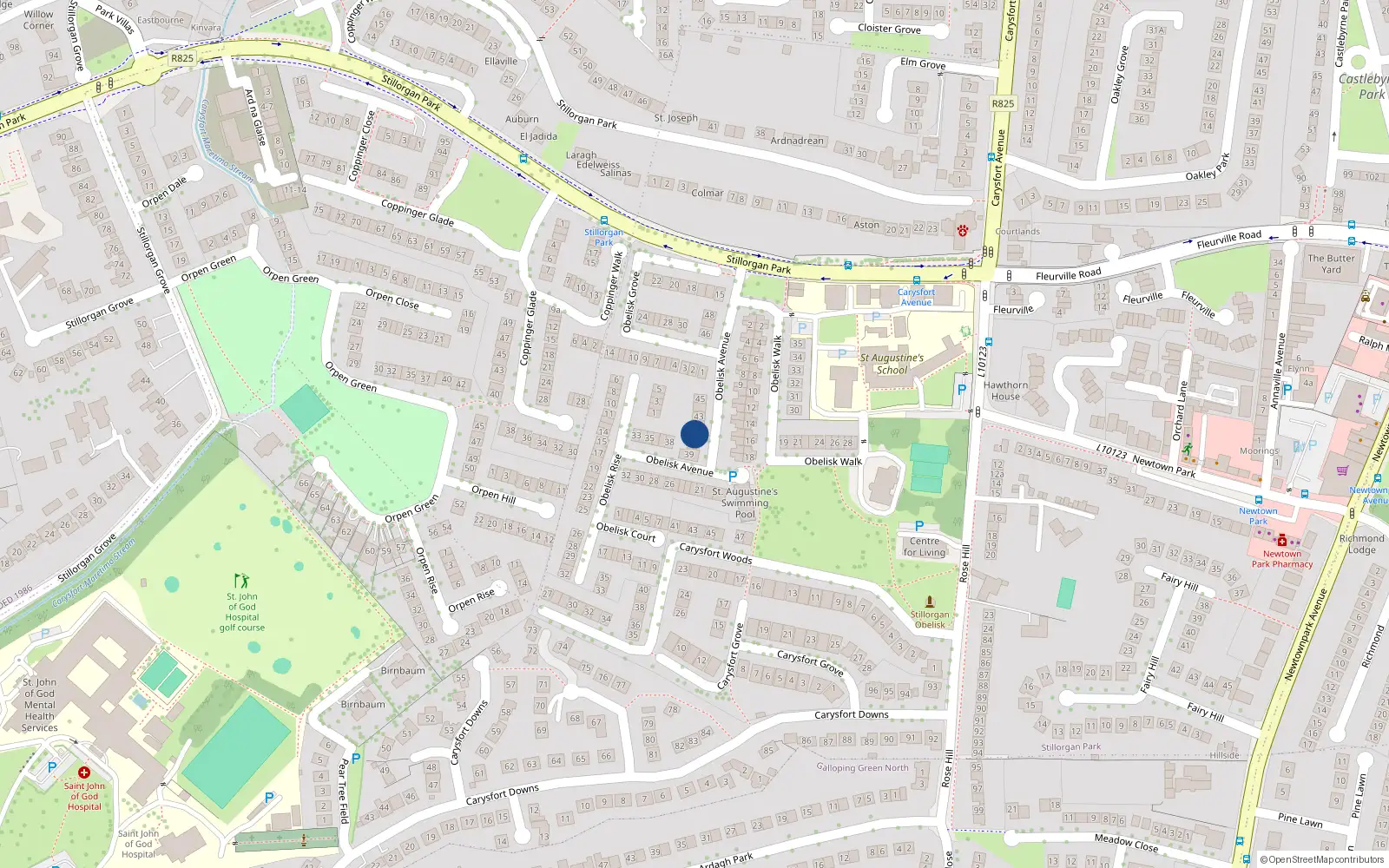 Overhead map showing the location of 41 Obelisk Avenue, Blackrock