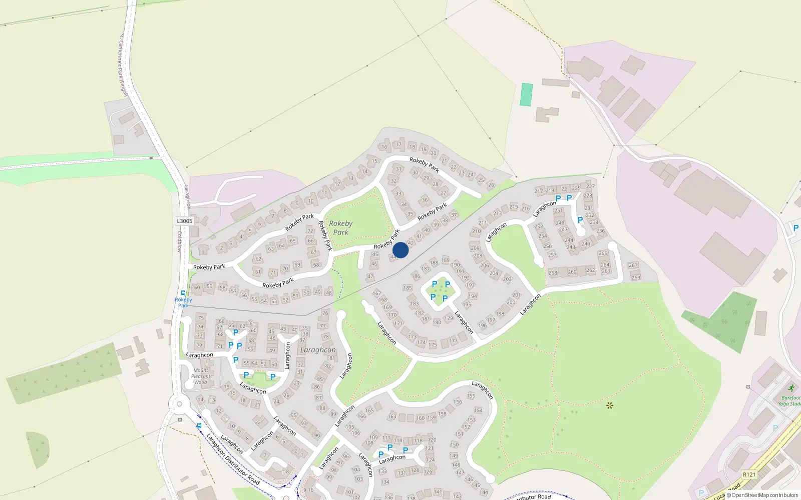 Overhead map showing the location of 41 Rokeby Park, Lucan