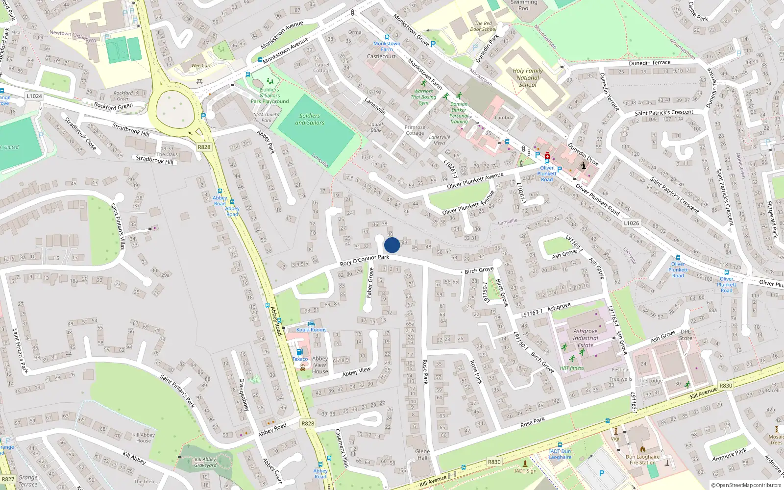 Overhead map showing the location of 41 Rory O'Connor Park, Monkstown, Co Dublin