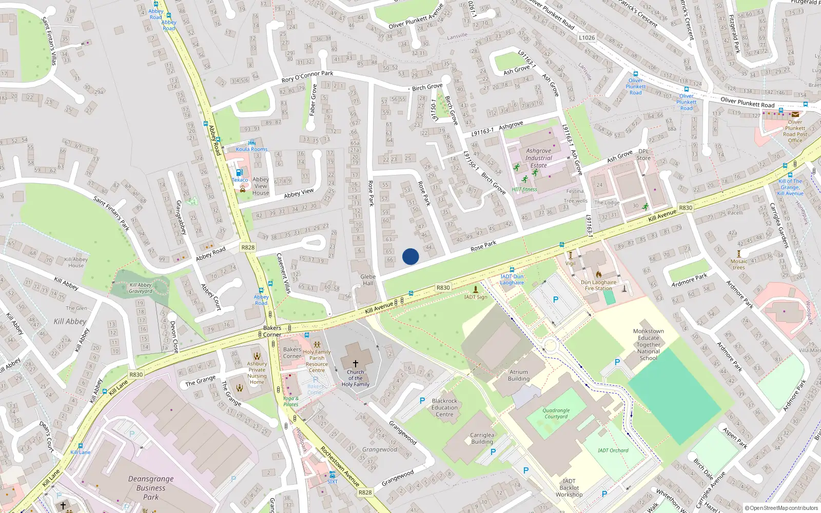 Overhead map showing the location of 41 Rose Park, Dun Laoghaire