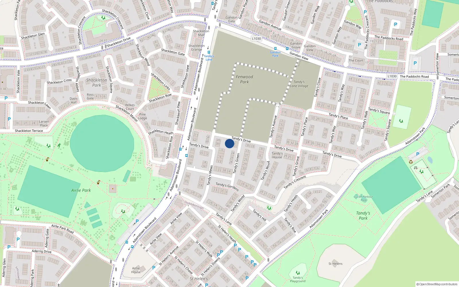 Overhead map showing the location of 41 Tandy's Drive, Lucan