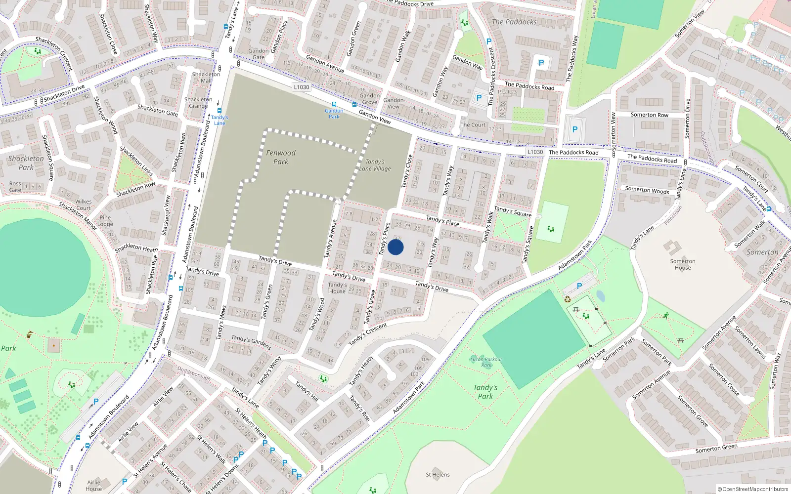 Overhead map showing the location of 41 Tandy's Place, Lucan