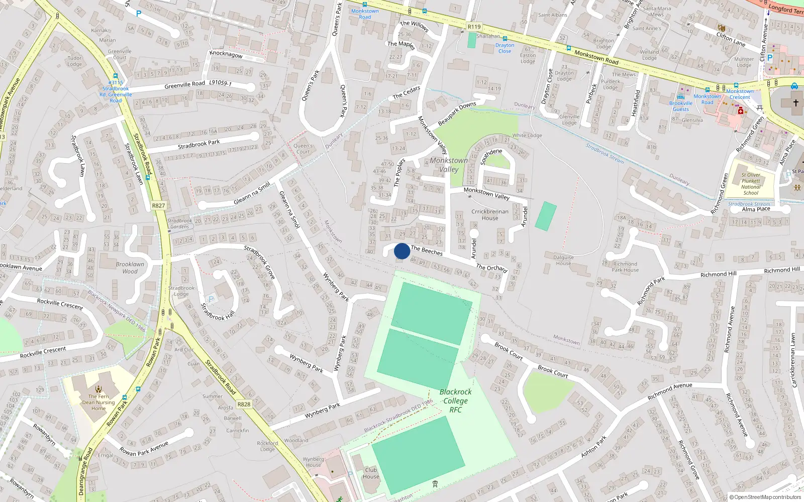 Overhead map showing the location of 41 The Beeches, Monkstown