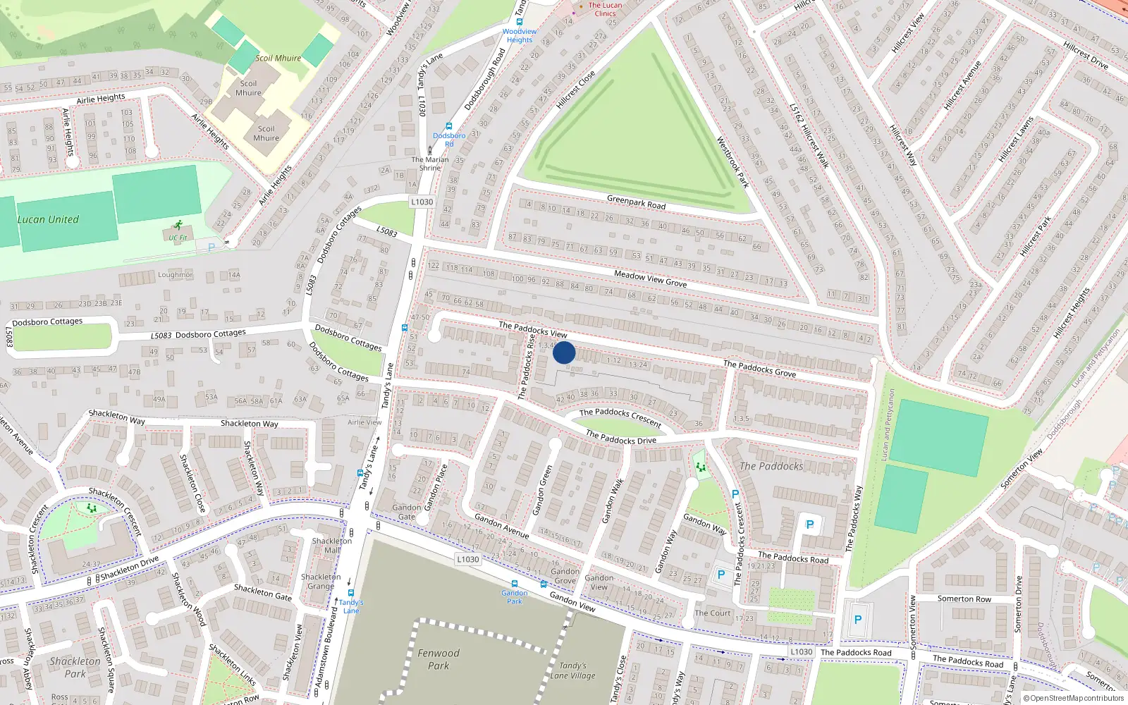 Overhead map showing the location of 41 the Paddocks View, Adamstown, Dublin