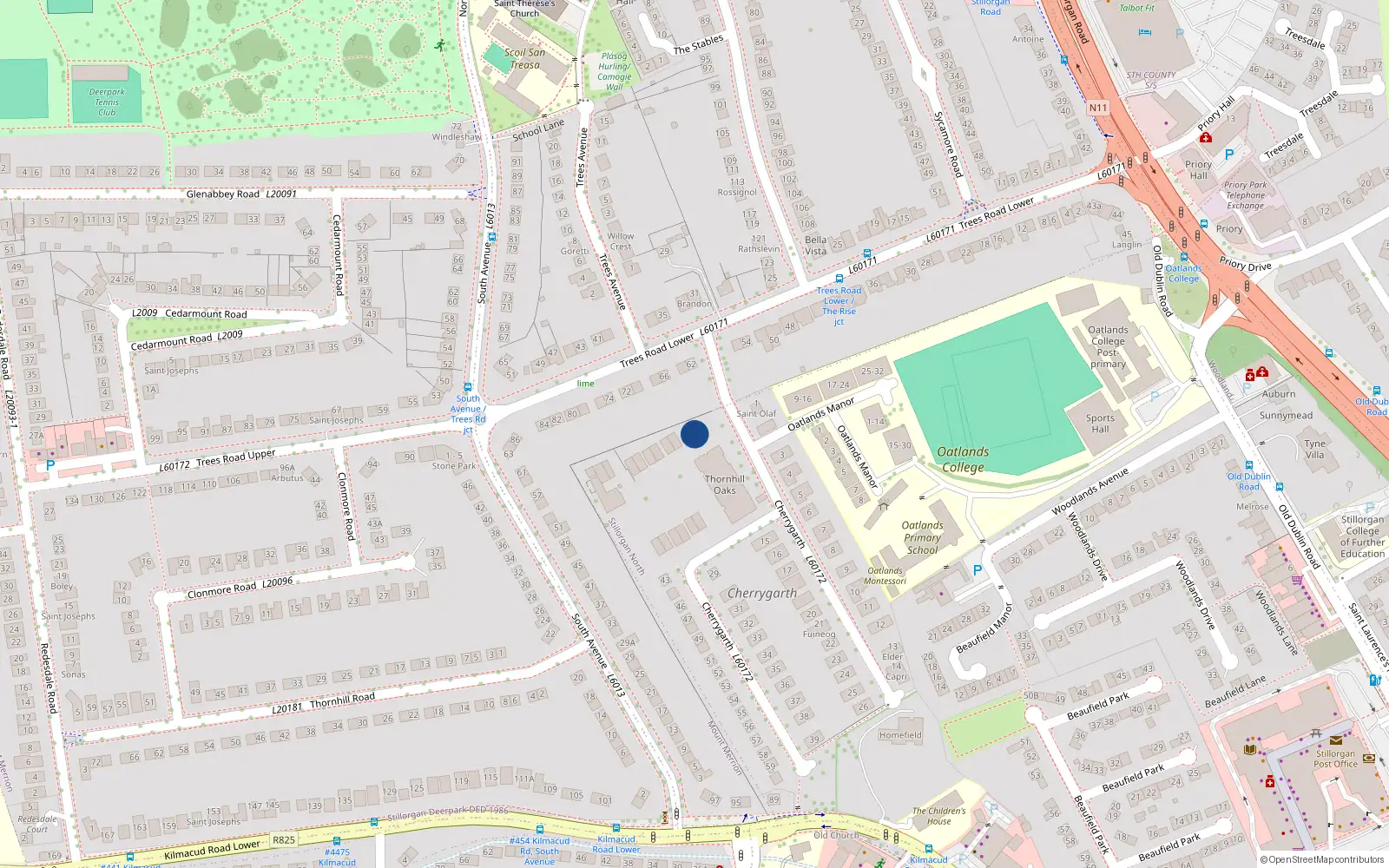 Overhead map showing the location of 41 Thornhill Oaks, Blackrock
