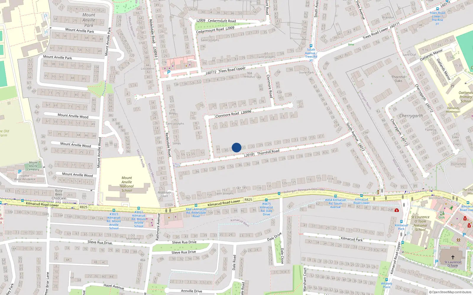 Overhead map showing the location of 41 Thornhill Road, Blackrock