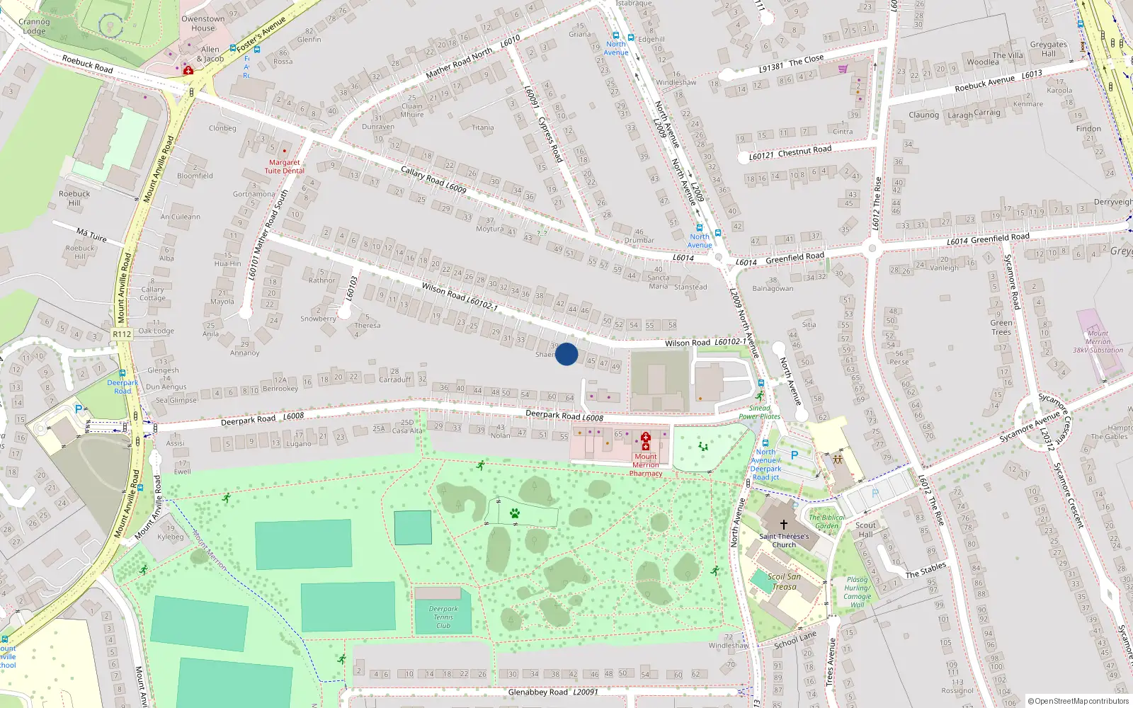 Overhead map showing the location of 41 Wilson Road, Mount Merrion, Co Dublin