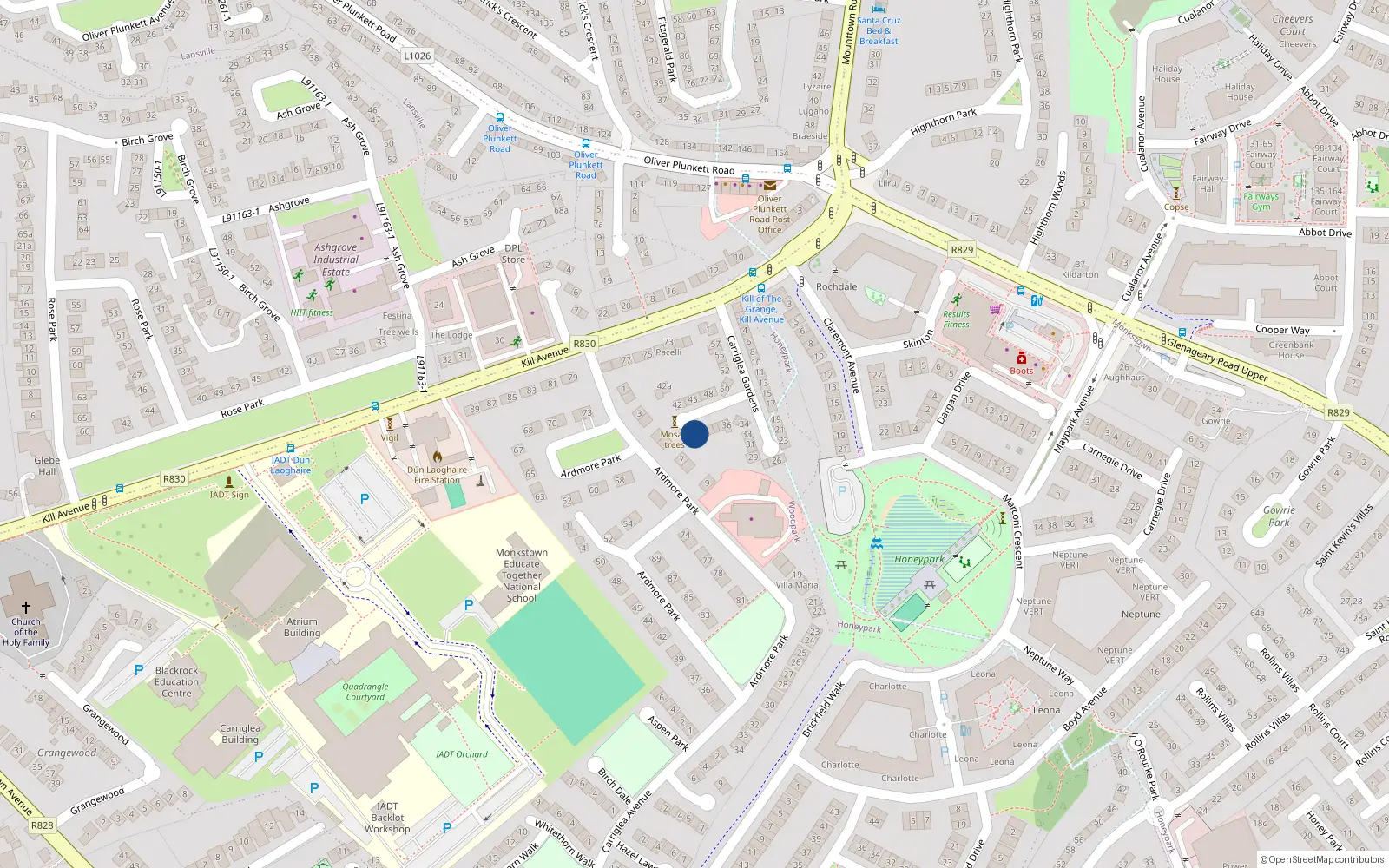 Overhead map showing the location of 41A Carriglea Gardens, Dun Laoghaire