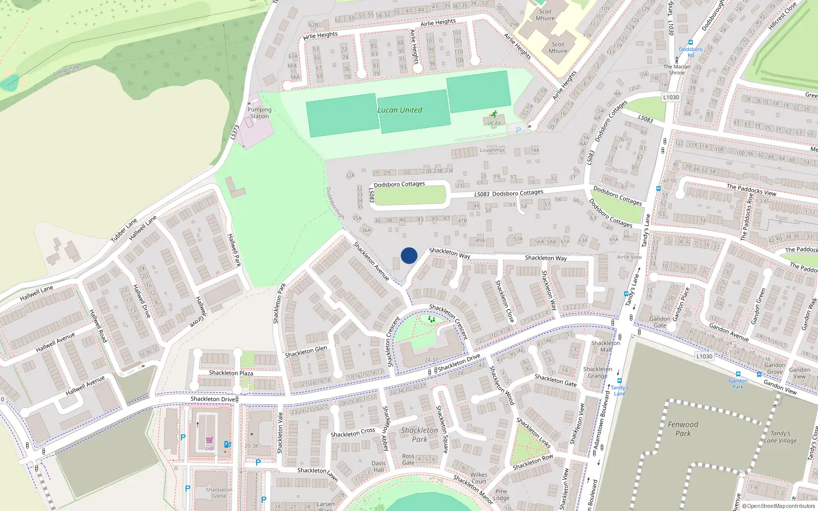 Overhead map showing the location of 41A Dodsboro Cottages, Lucan, Co Dublin