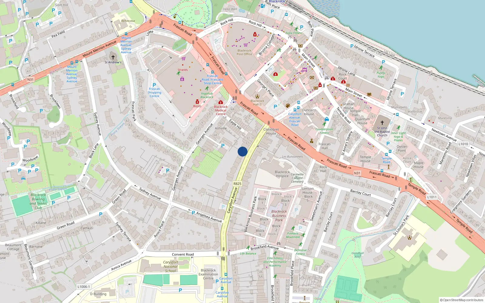 Overhead map showing the location of 41B Carysfort Avenue, Blackrock