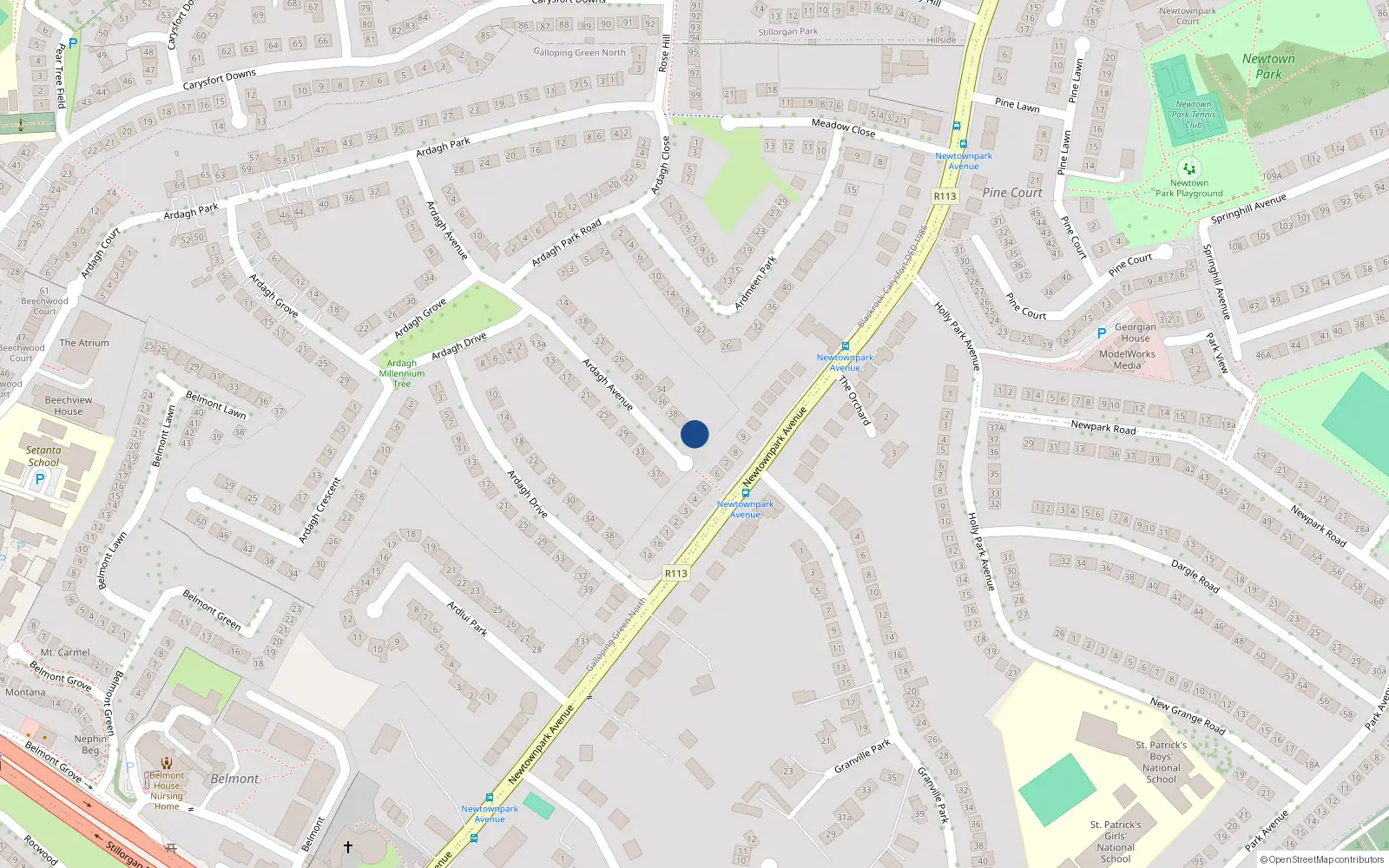 Overhead map showing the location of 42 Ardagh Avenue, Blackrock