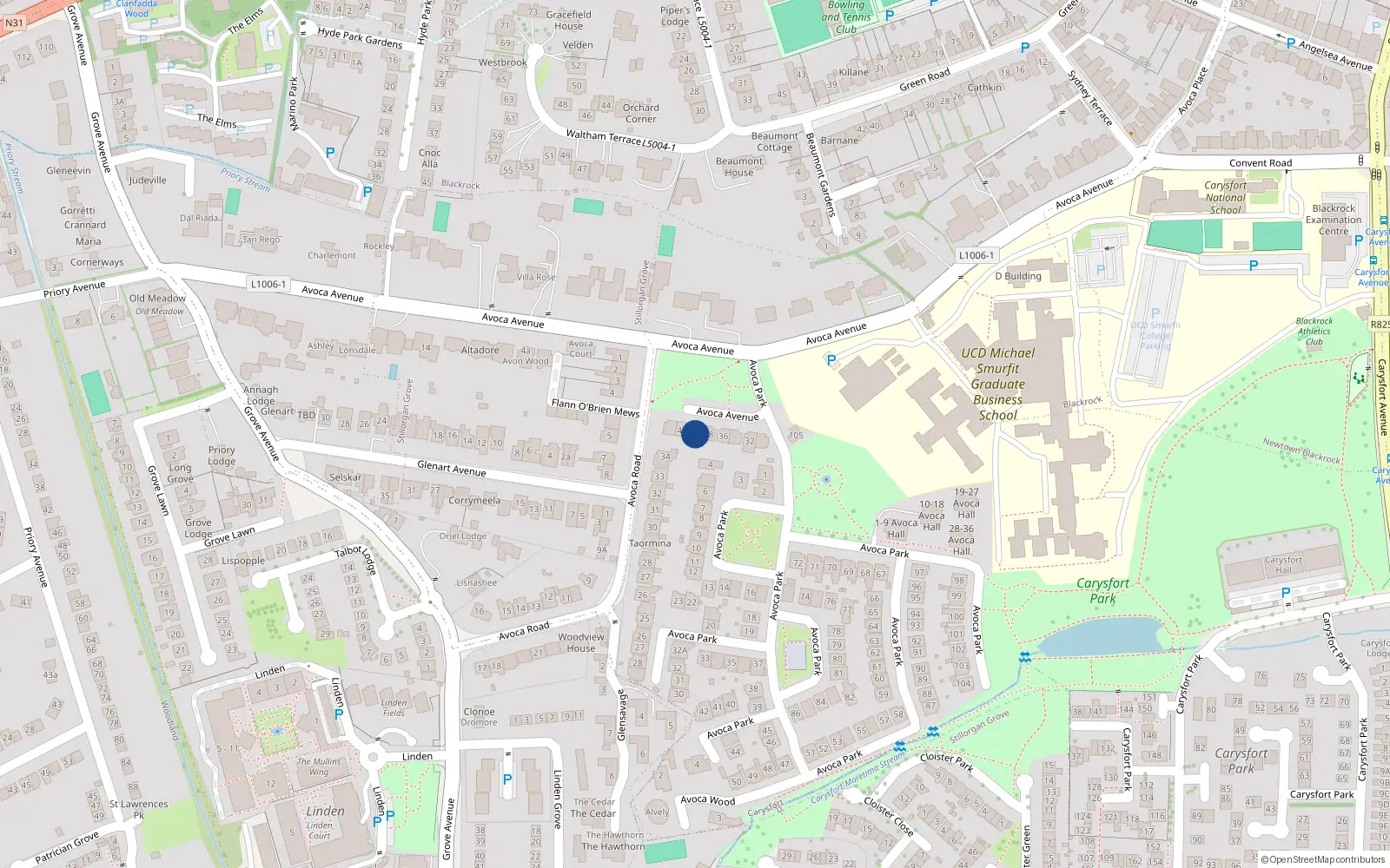 Overhead map showing the location of 42 Avoca Avenue, Blackrock